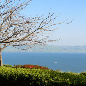 Marcos 5:16-20, Jesucristo, Dios todopoderoso, parte III