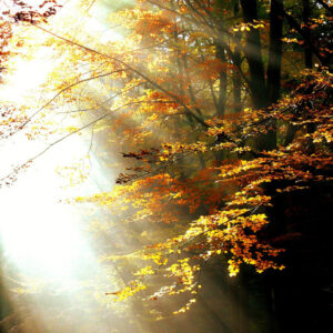 Marcos 9:33-37, Grandeza ante Dios