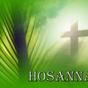 Marcos 11:1-11, Jesús es tu rey