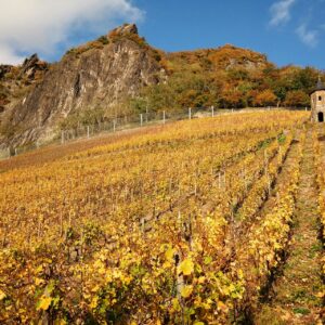 Marcos 12:1-12, Labradores malvados