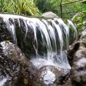 Tito 1:15-16, Todas las cosas son puras para los puros