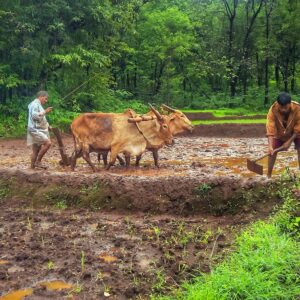 Tito 2:9-10, Sana Doctrina y el Trabajo