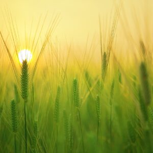 ROMANOS 13:13-14, EL DÍA SE HA ACERCADO, PARTE II