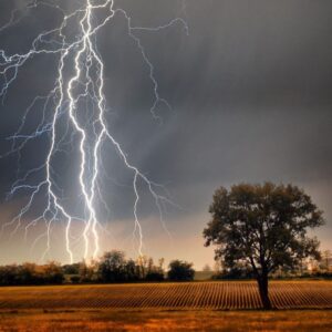 SALMO 29, VOZ DEL SEÑOR