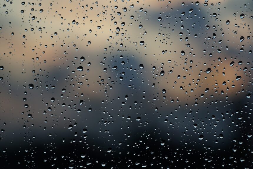 SALMO 88, ORANDO EN MEDIO DE LA TRISTEZA