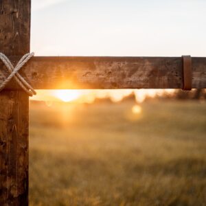 RUT 1:3-5, EXTRAÑA PROVIDENCIA